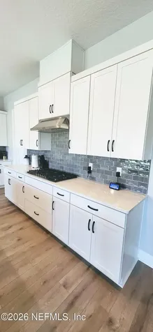 252 Dalton Mill Drive St. Johns FL 32259