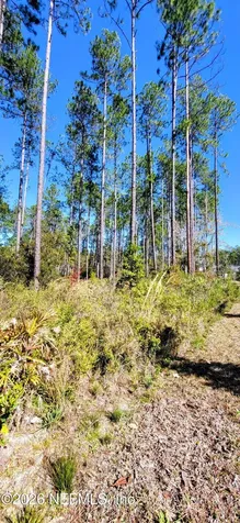 252 Dalton Mill Drive St. Johns FL 32259