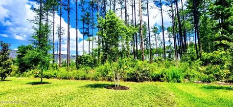 252 Dalton Mill Drive St. Johns FL 32259
