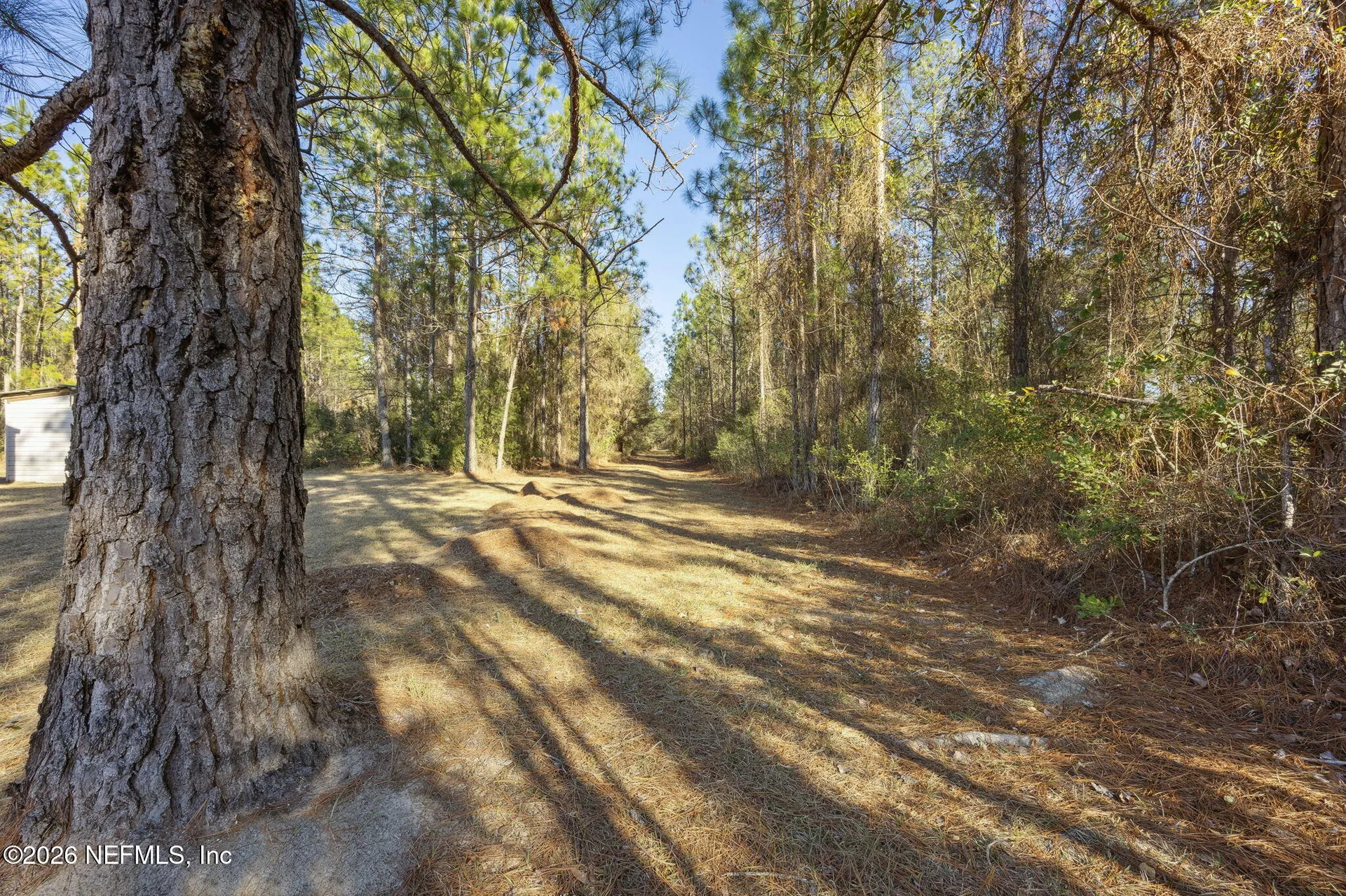 14871 Turner Cemetery Road Glen St. Mary FL 32040