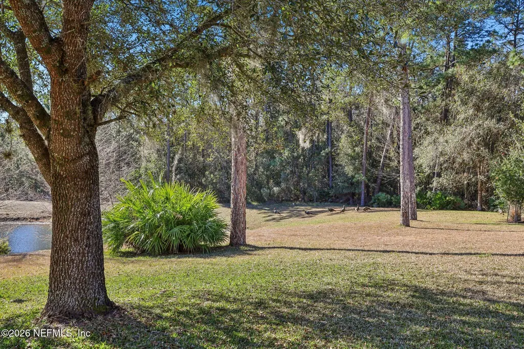 2607 Creekfront Drive Green Cove Springs FL 32043