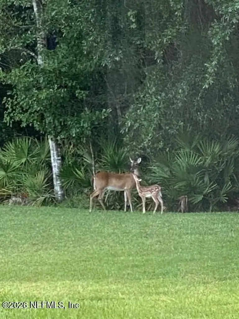 2607 Creekfront Drive Green Cove Springs FL 32043