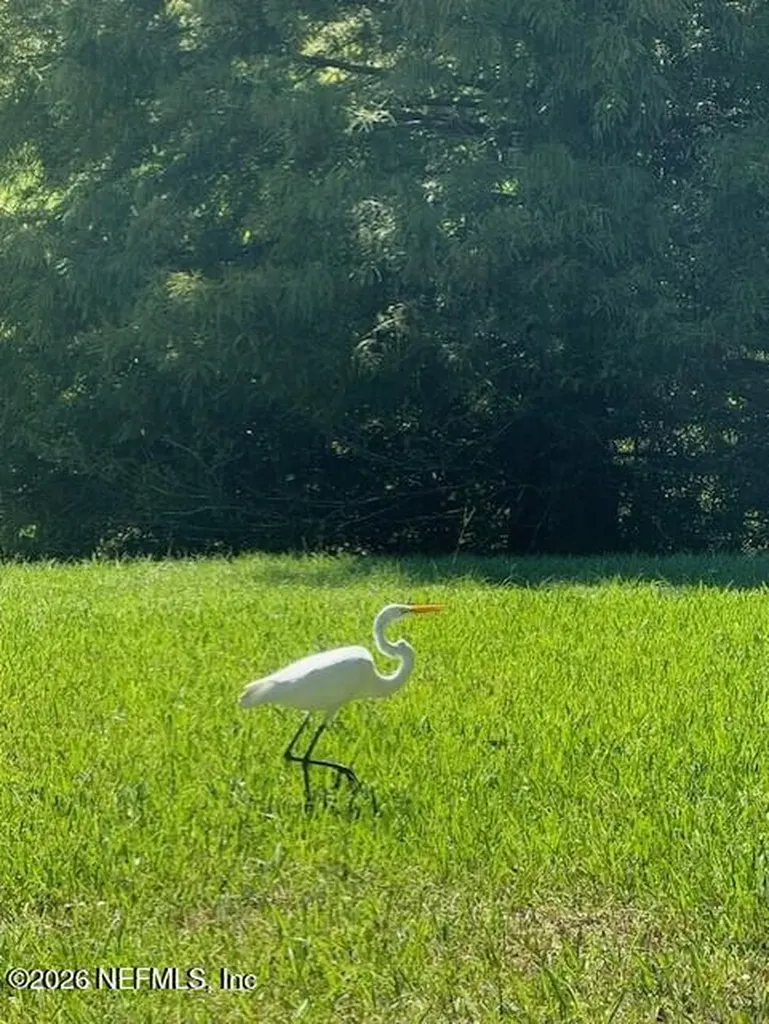 2607 Creekfront Drive Green Cove Springs FL 32043