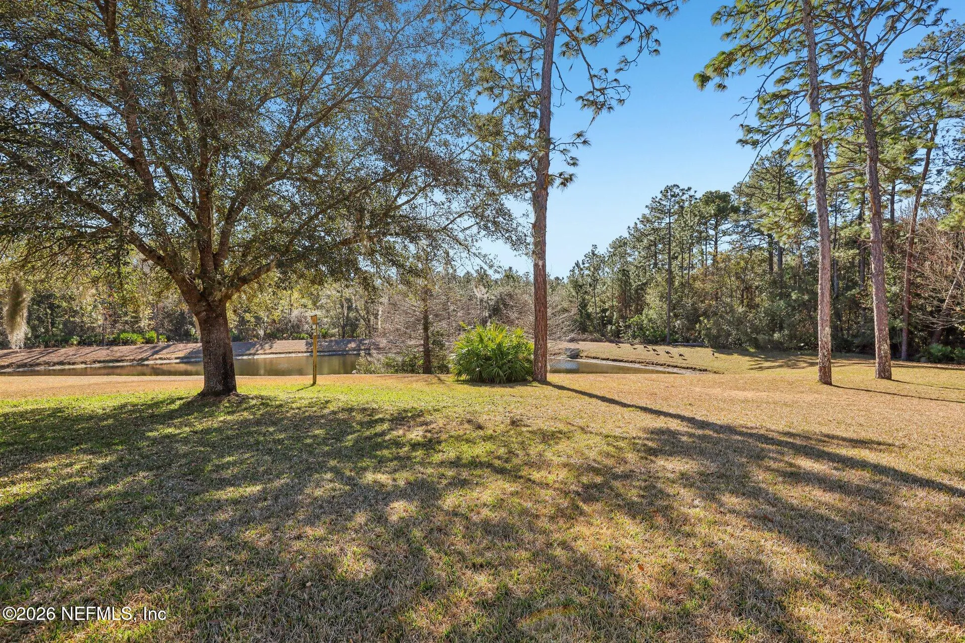 2607 Creekfront Drive Green Cove Springs FL 32043