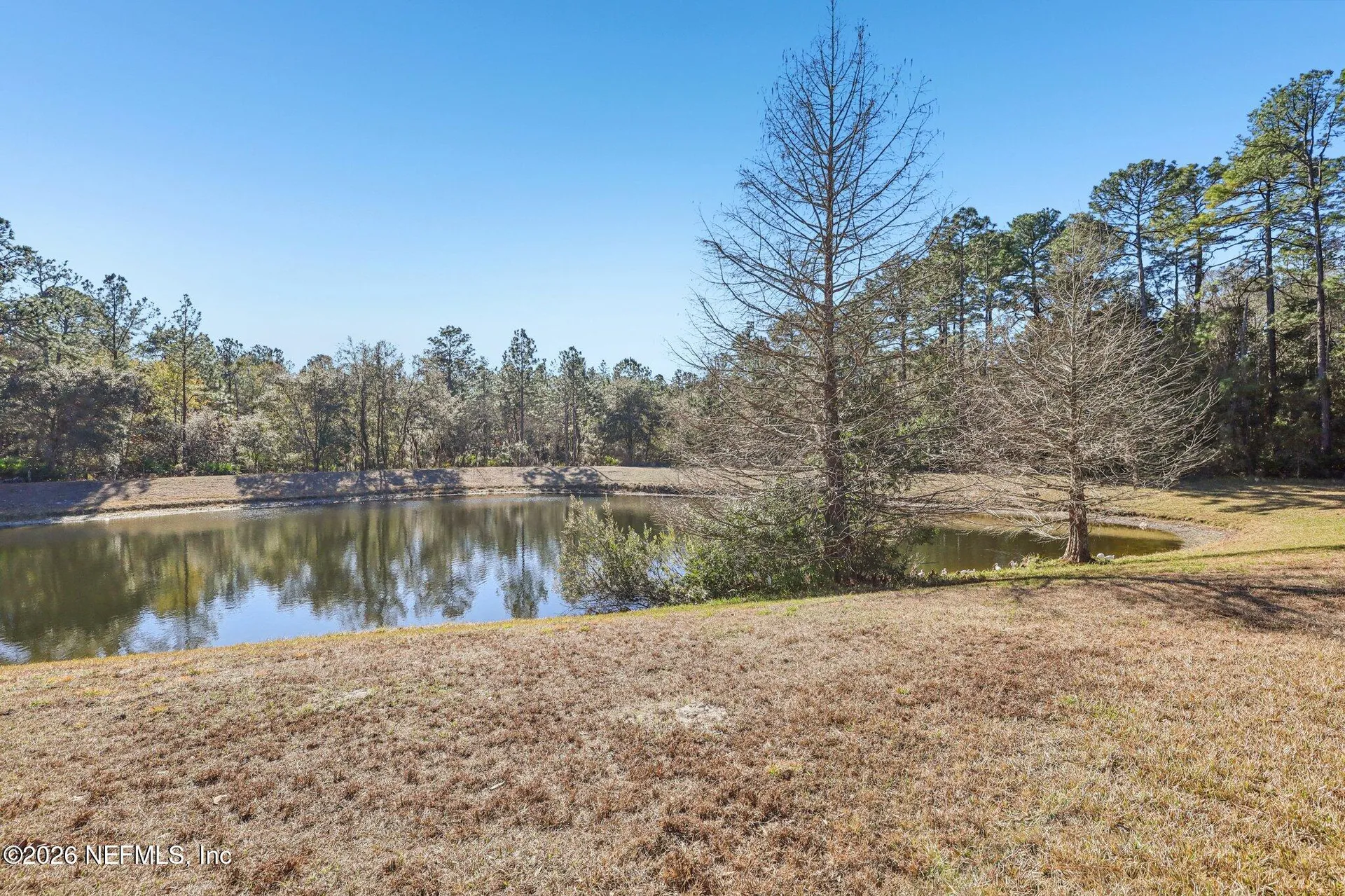 2607 Creekfront Drive Green Cove Springs FL 32043