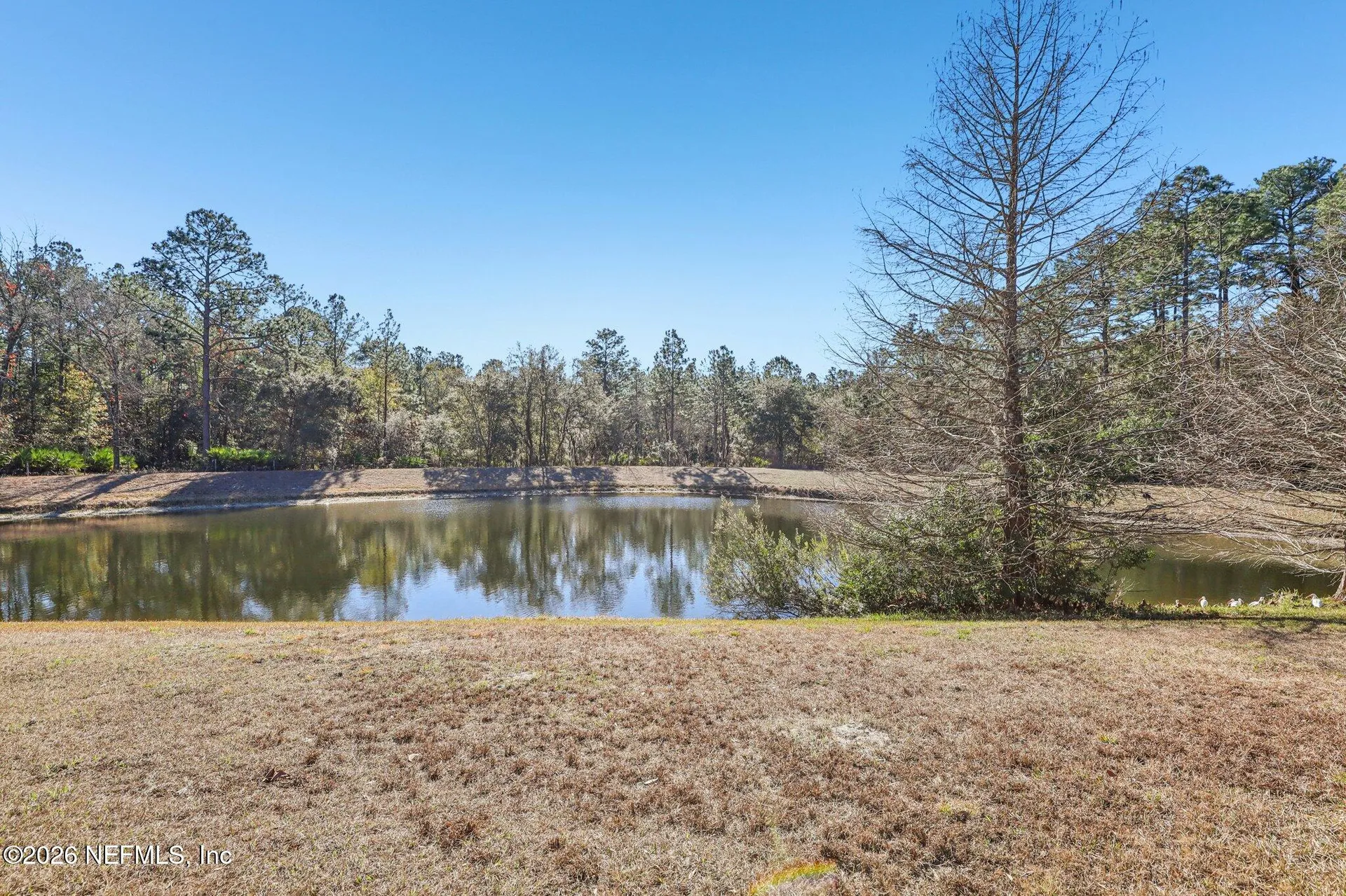 2607 Creekfront Drive Green Cove Springs FL 32043