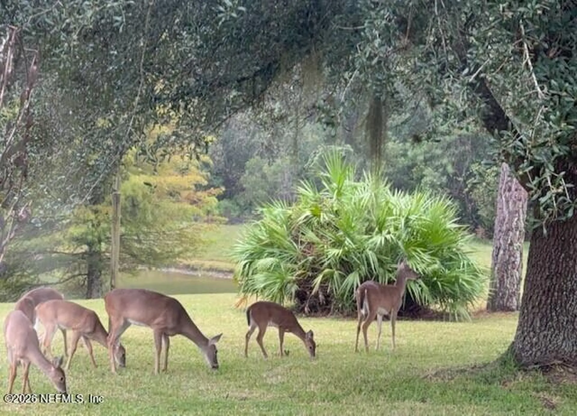 2607 Creekfront Drive Green Cove Springs FL 32043