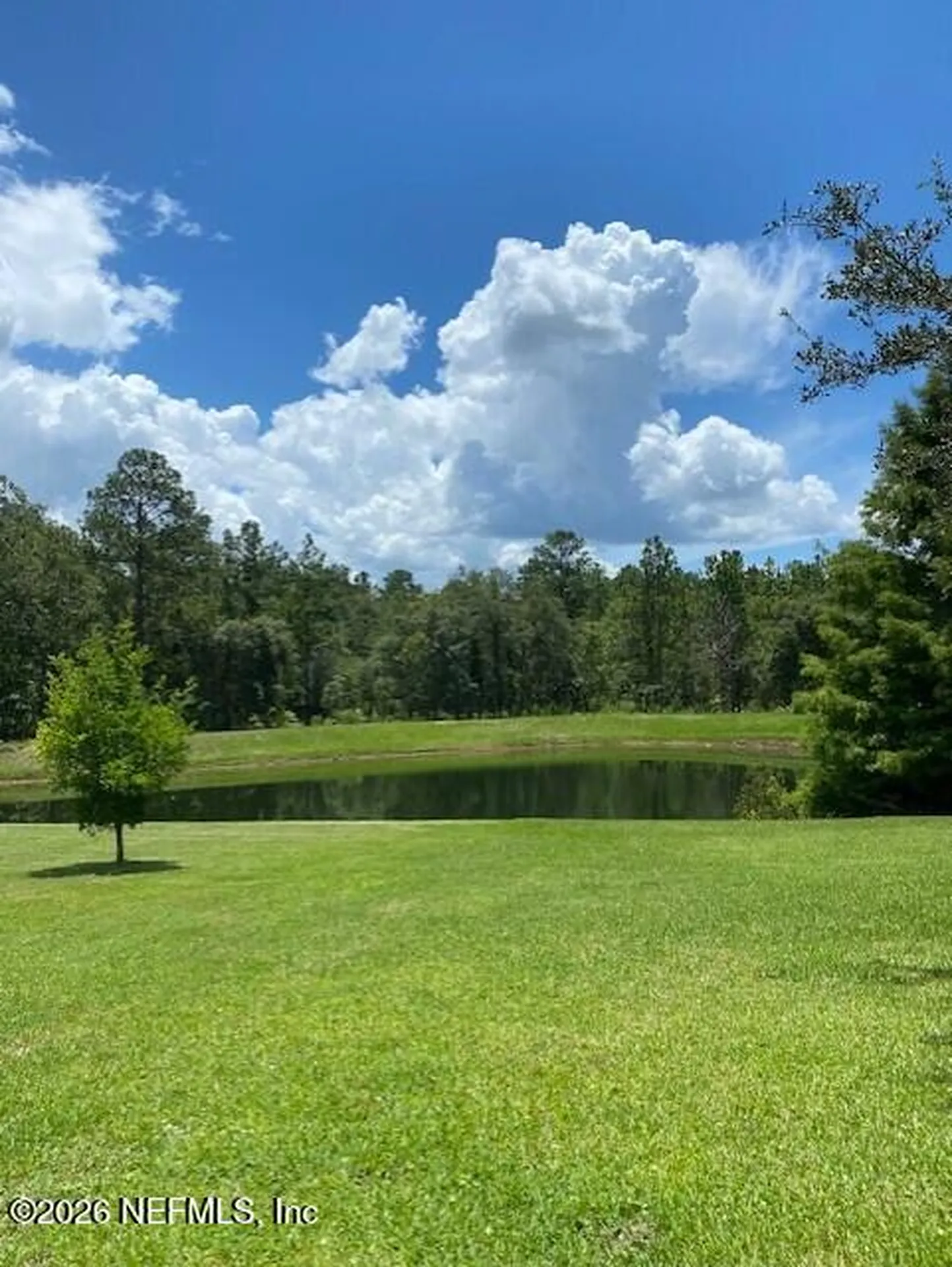2607 Creekfront Drive Green Cove Springs FL 32043