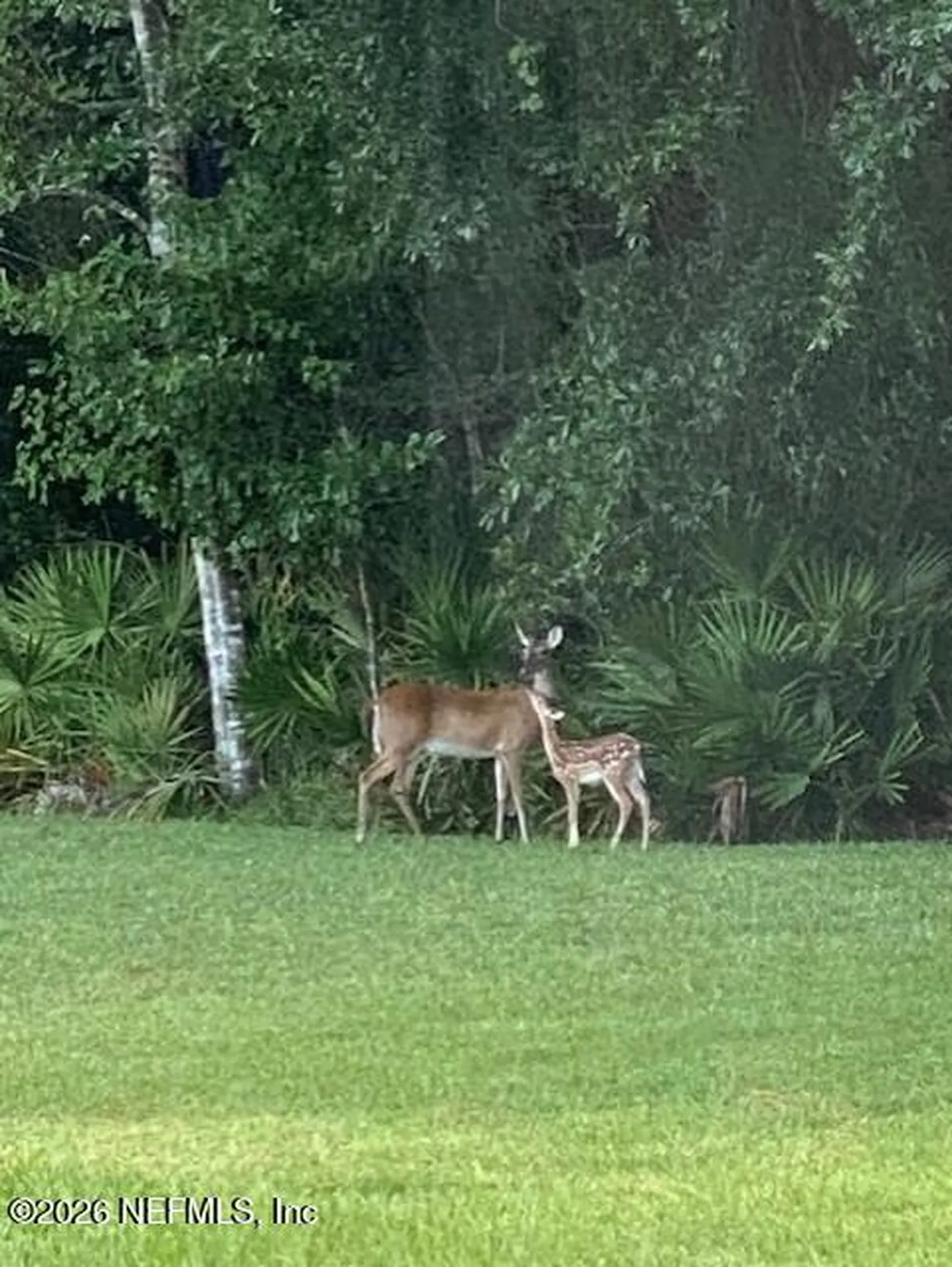 2607 Creekfront Drive Green Cove Springs FL 32043