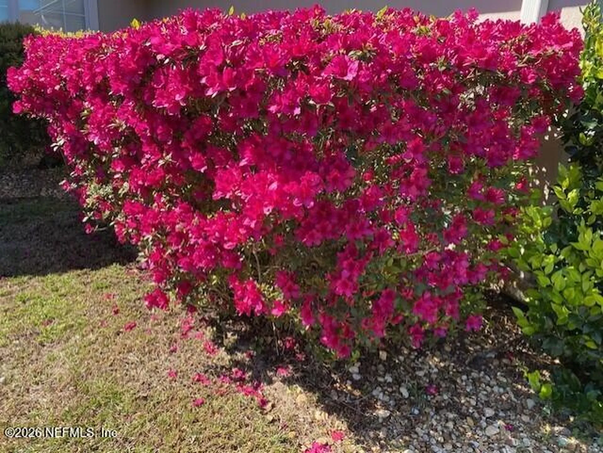 2607 Creekfront Drive Green Cove Springs FL 32043