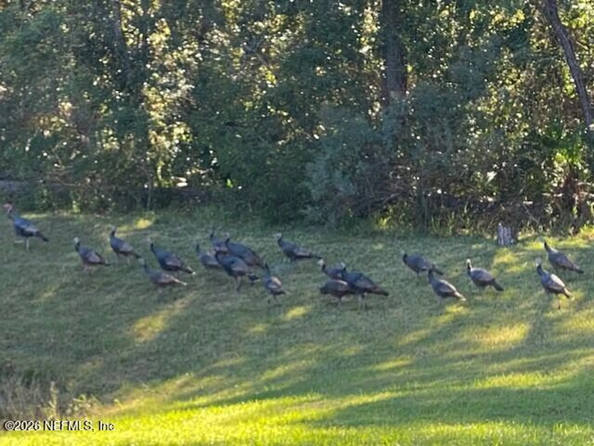 2607 Creekfront Drive Green Cove Springs FL 32043