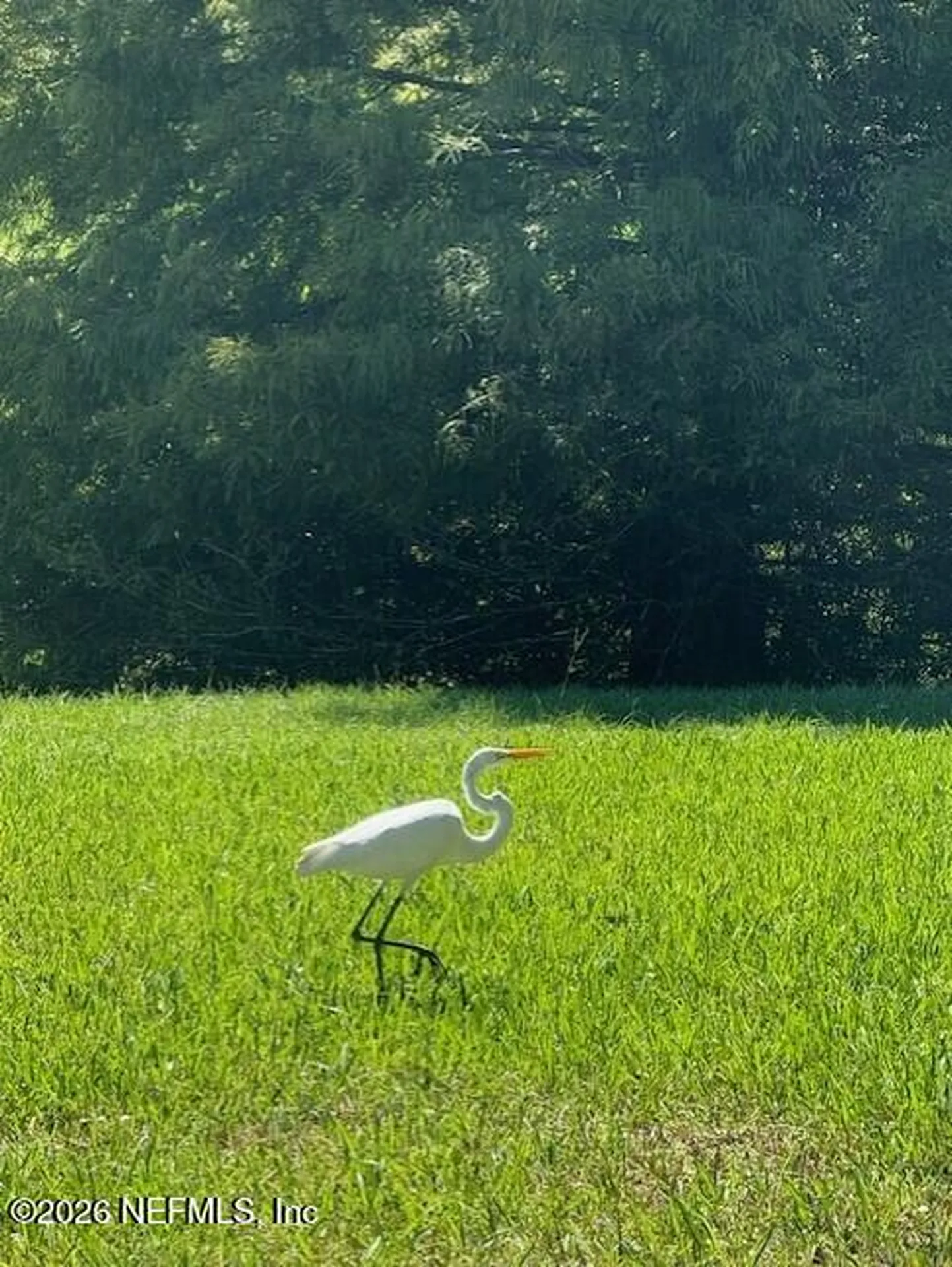 2607 Creekfront Drive Green Cove Springs FL 32043