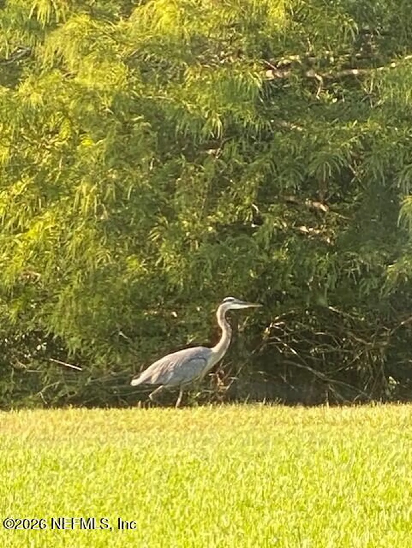 2607 Creekfront Drive Green Cove Springs FL 32043