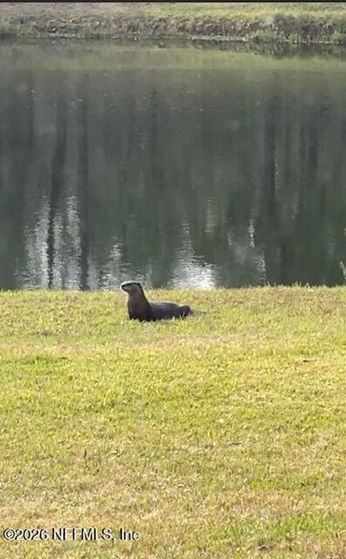 2607 Creekfront Drive Green Cove Springs FL 32043