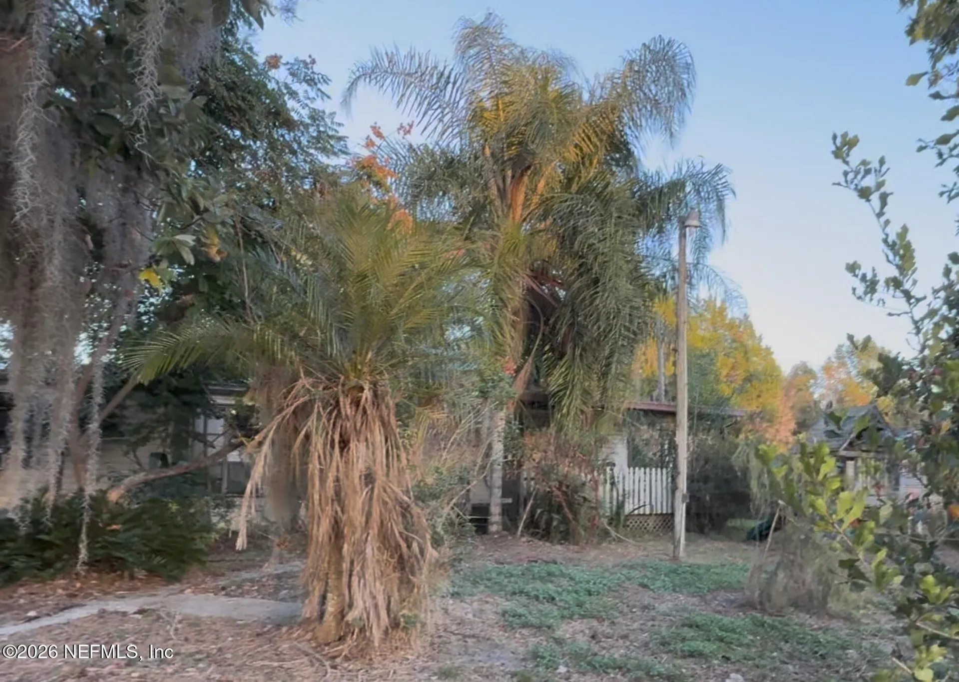 169 Jewel Avenue Interlachen FL 32148