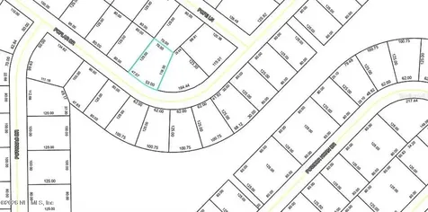 41 Poplar Drive Palm Coast FL 32164