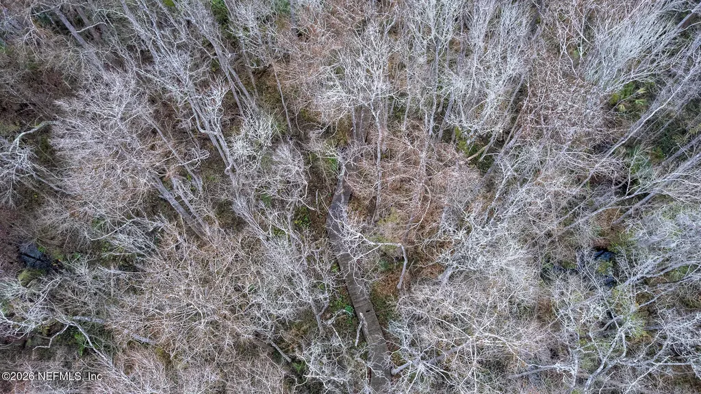 155 Fran Lane Satsuma FL 32189