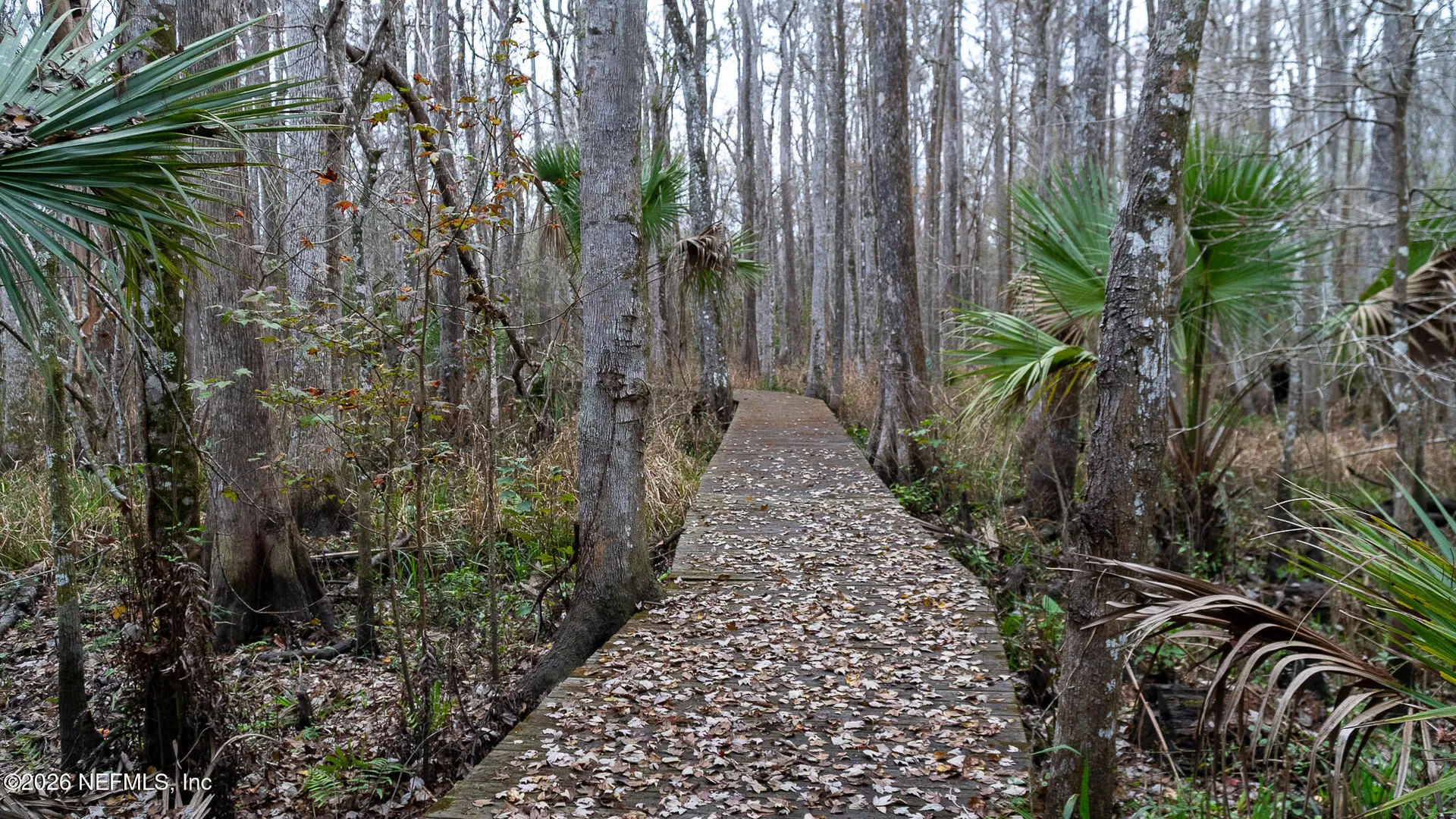 155 Fran Lane Satsuma FL 32189