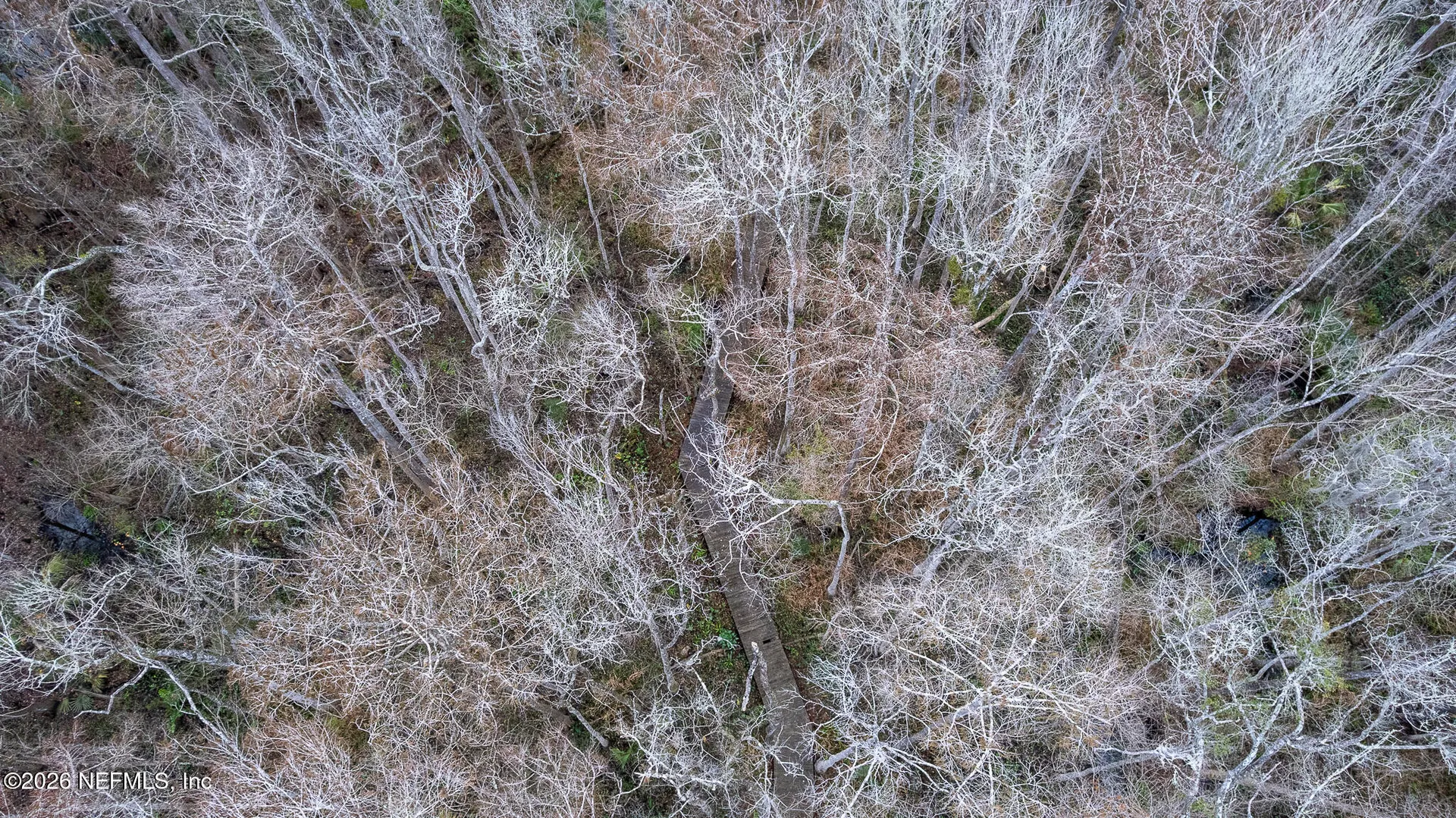 155 Fran Lane Satsuma FL 32189