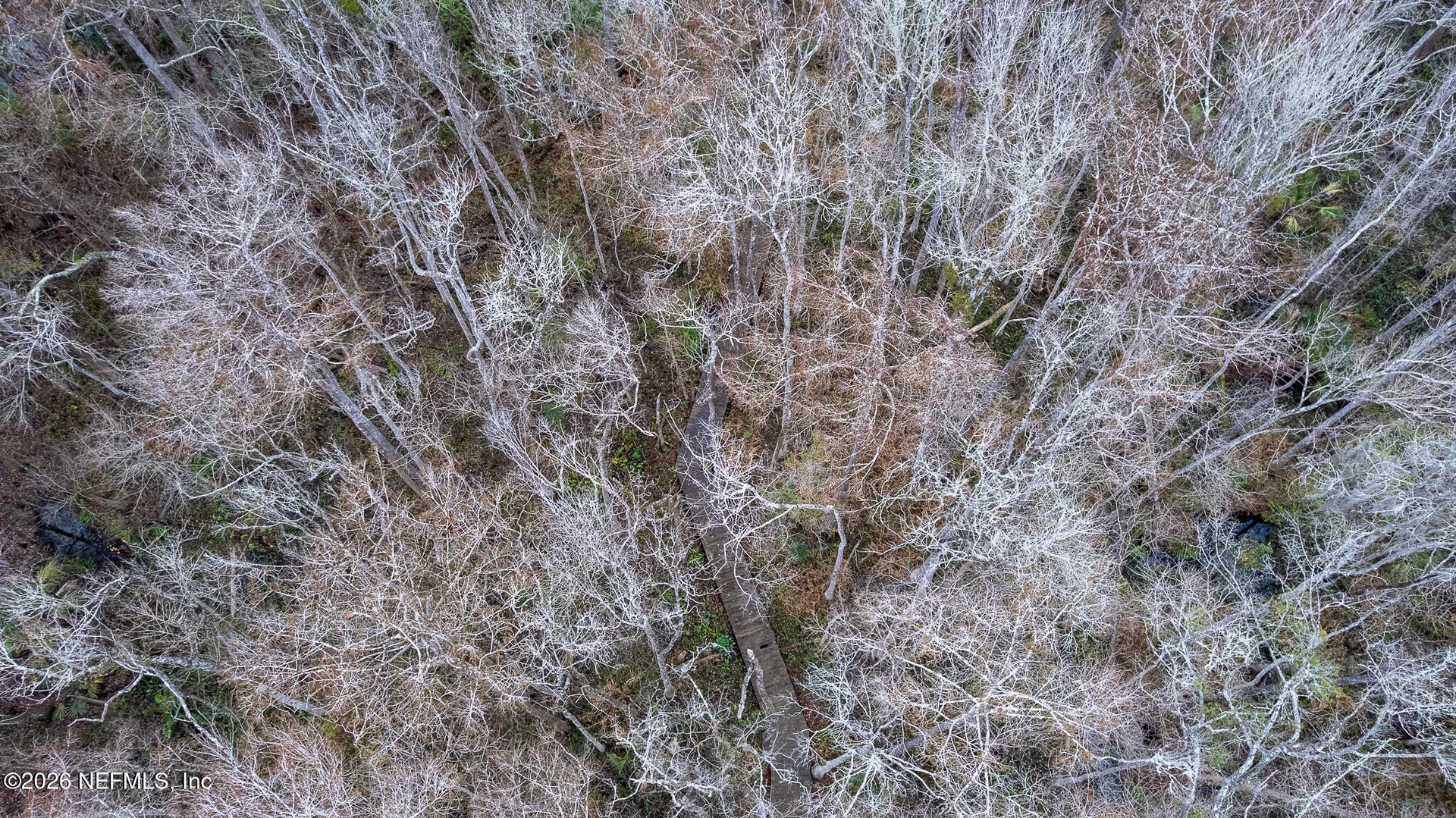 155 Fran Lane Satsuma FL 32189