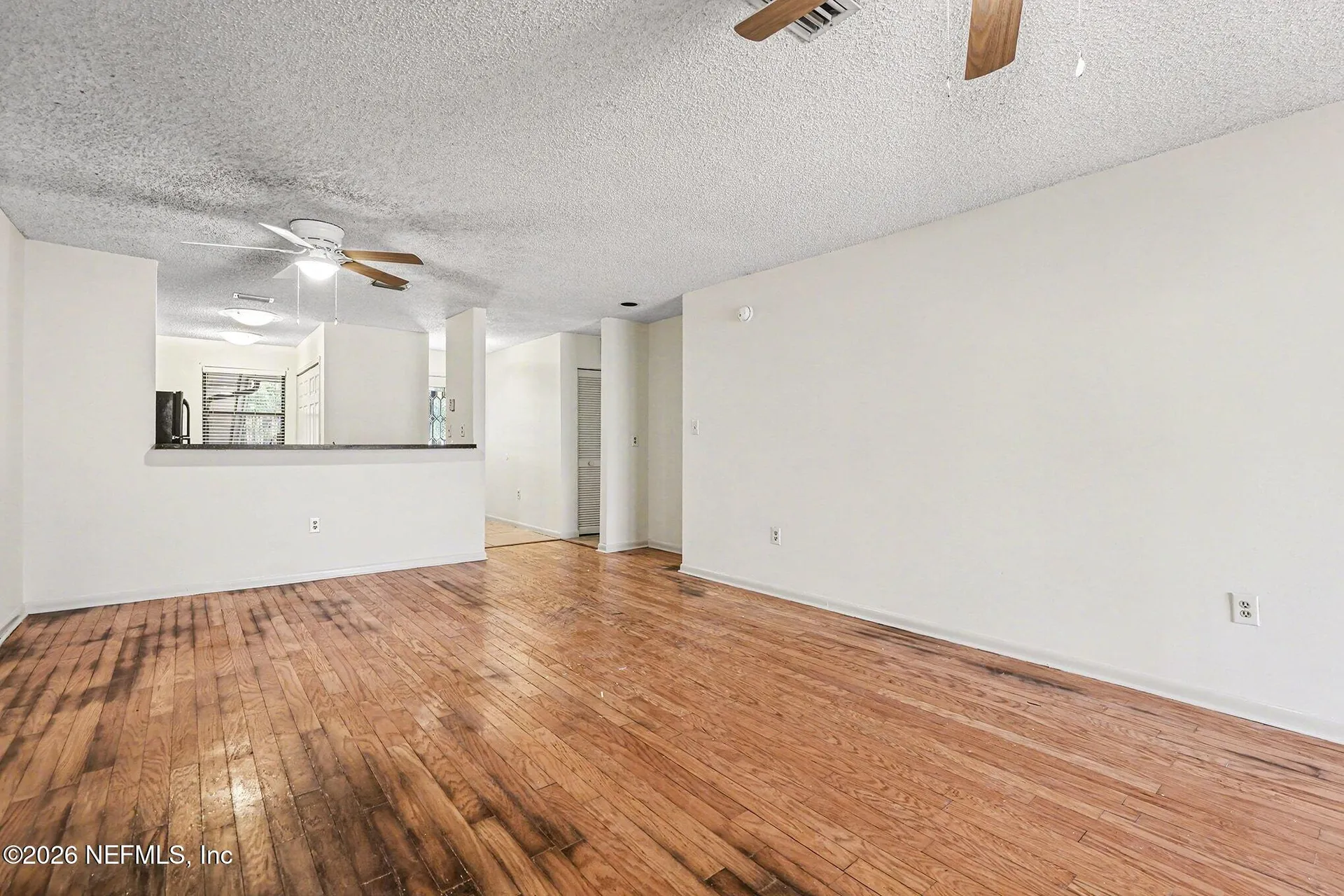 1604 Arcadia Drive Jacksonville FL 32207