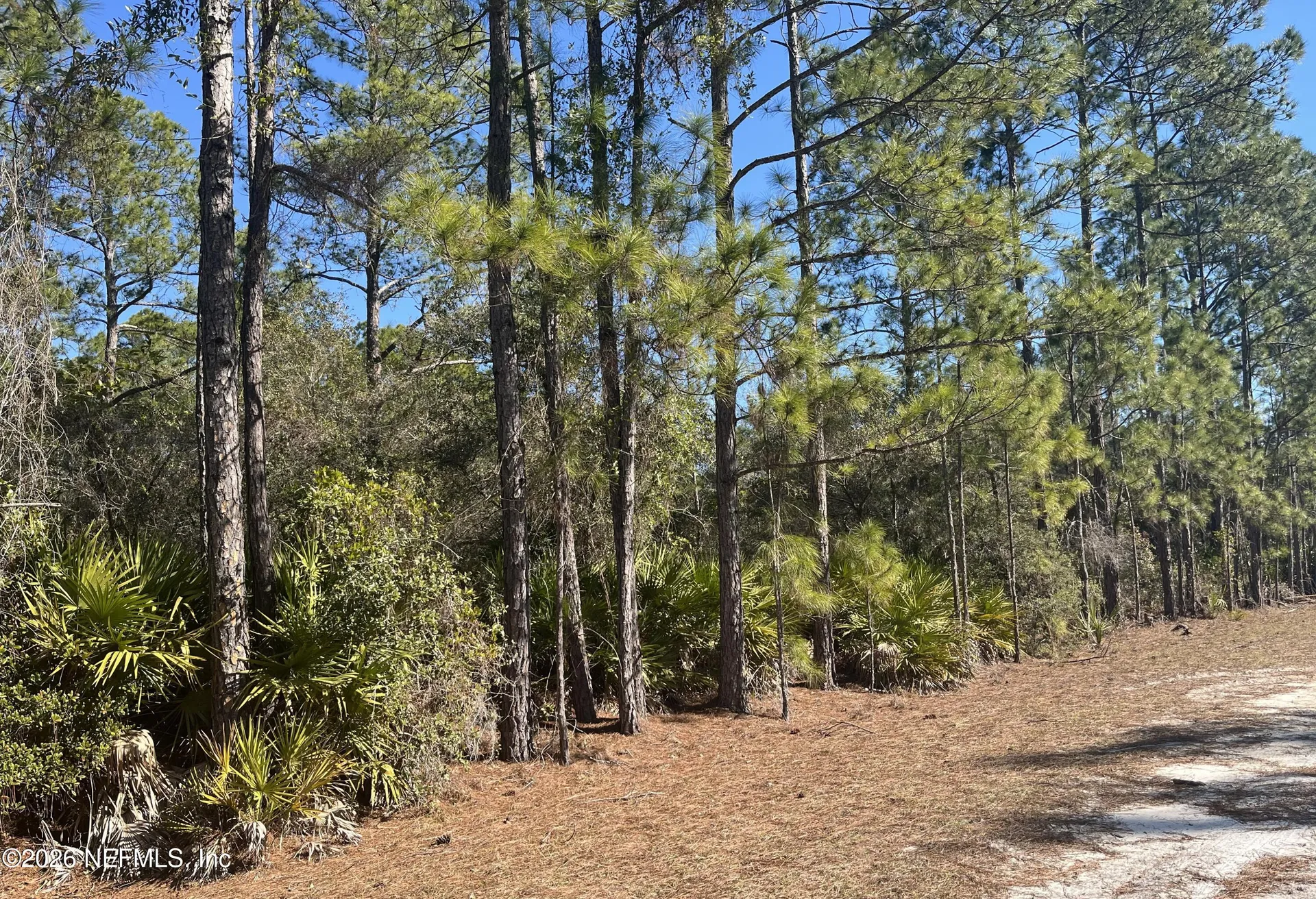519 Carteret Road Georgetown FL 32139