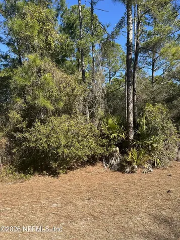 519 Carteret Road Georgetown FL 32139