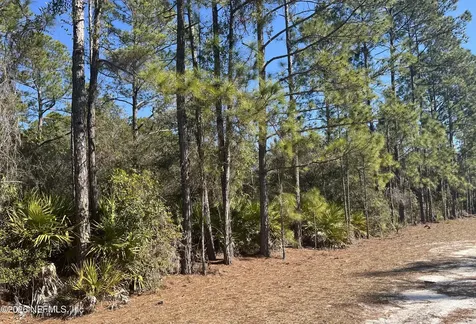 519 Carteret Road Georgetown FL 32139
