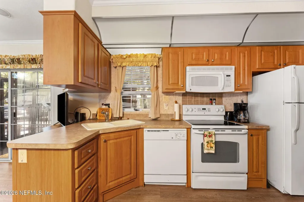 14195 NE 252nd Court Road Salt Springs FL 32134