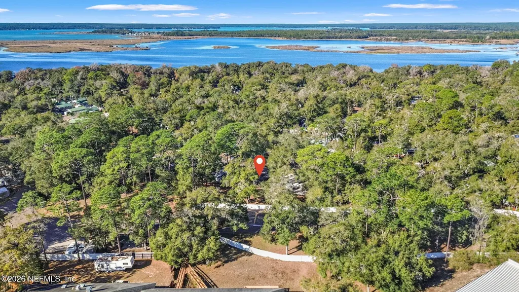14195 NE 252nd Court Road Salt Springs FL 32134