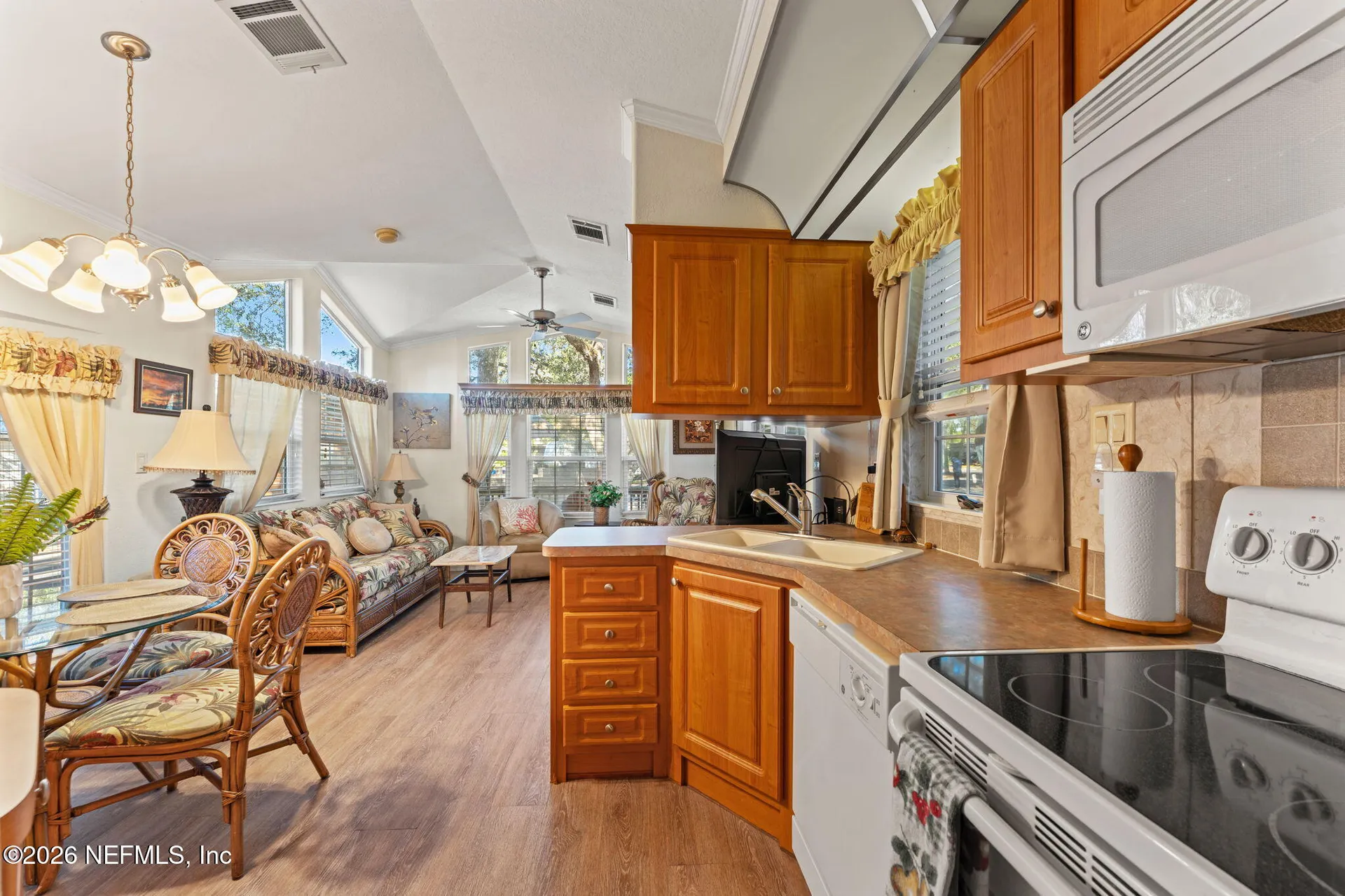 14195 NE 252nd Court Road Salt Springs FL 32134