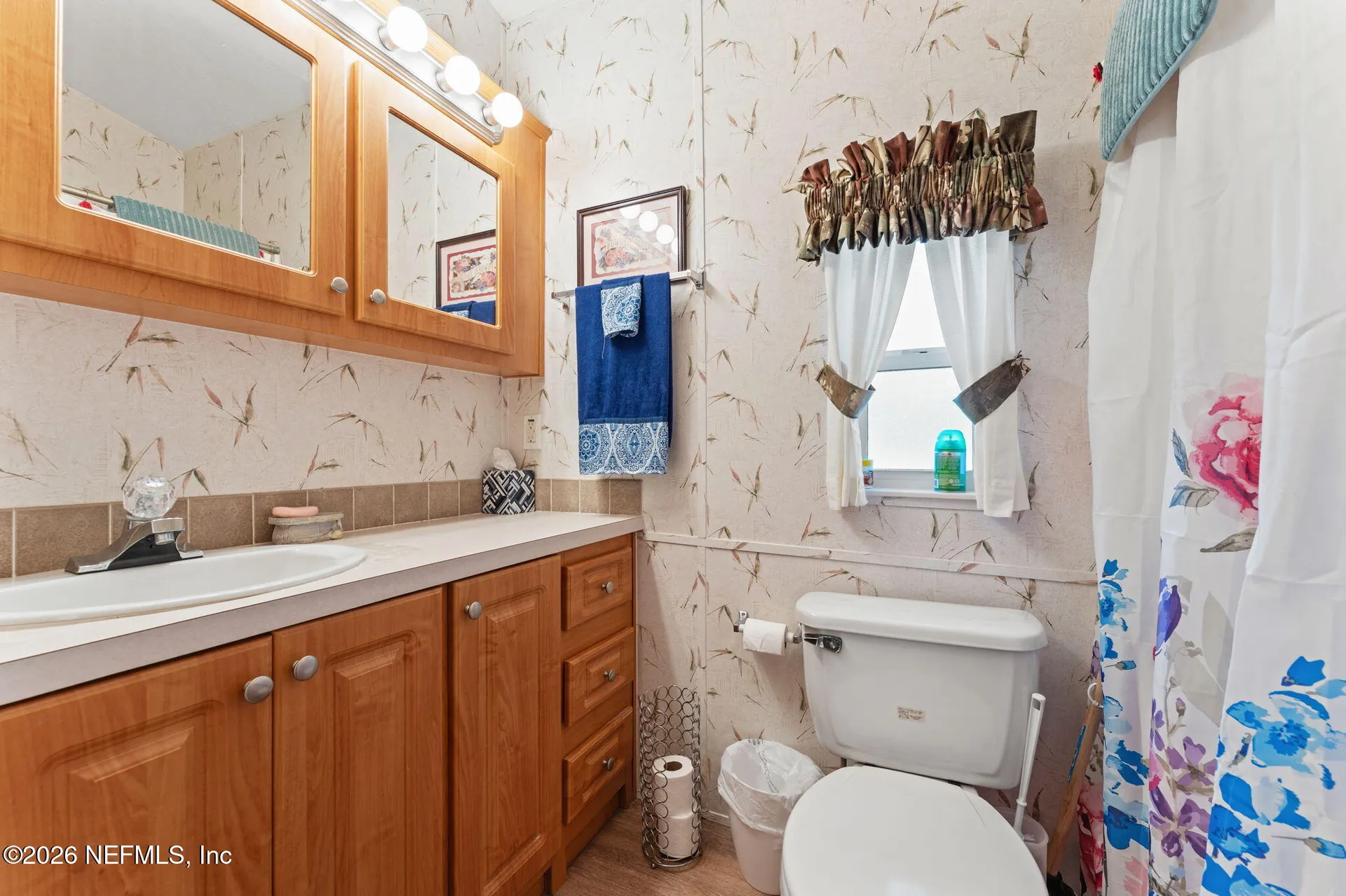 14195 NE 252nd Court Road Salt Springs FL 32134