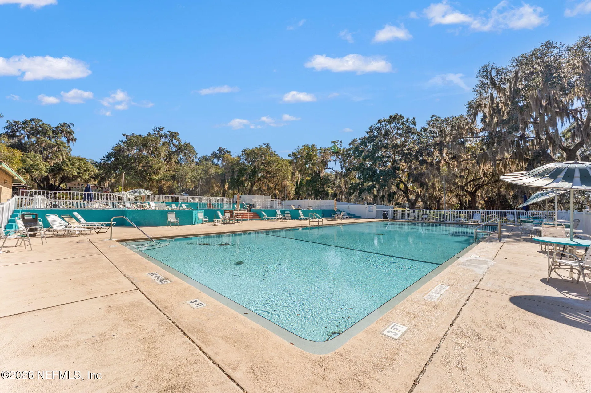14195 NE 252nd Court Road Salt Springs FL 32134