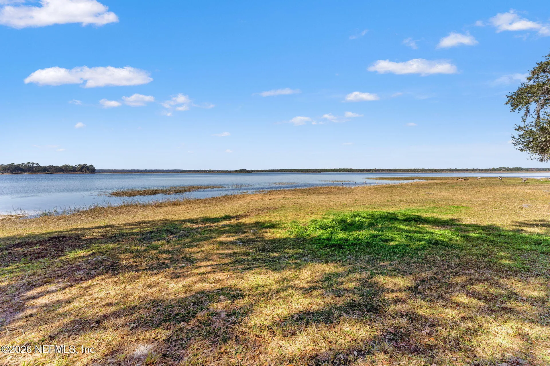 14195 NE 252nd Court Road Salt Springs FL 32134