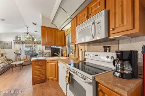 14195 NE 252nd Court Road Salt Springs FL 32134