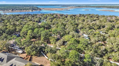 14195 NE 252nd Court Road Salt Springs FL 32134