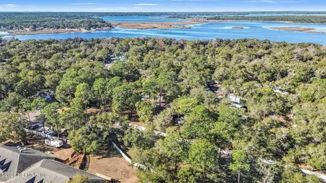 14195 NE 252nd Court Road Salt Springs FL 32134