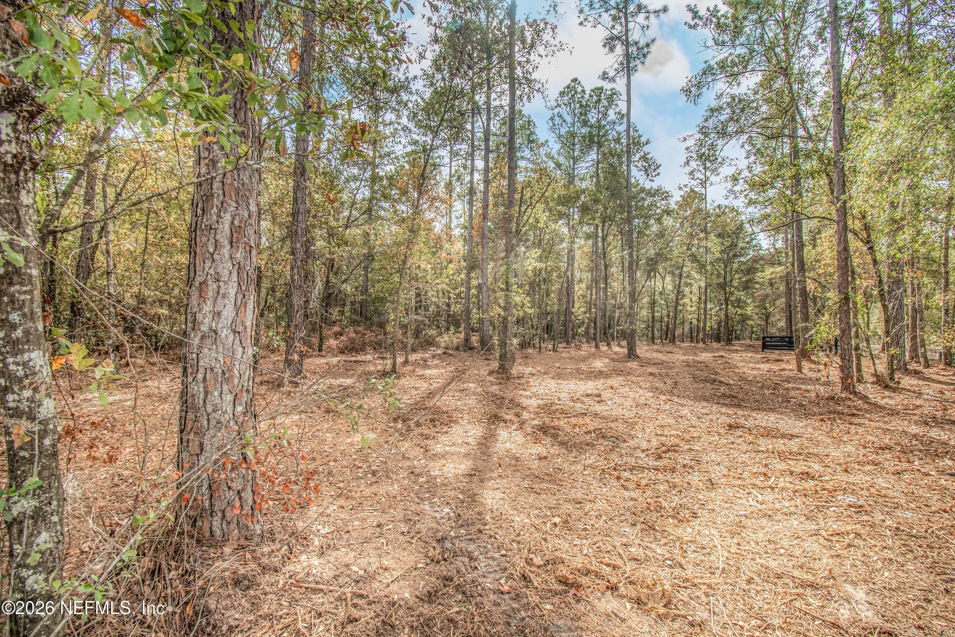 14374 C R 124 Sanderson FL 32087