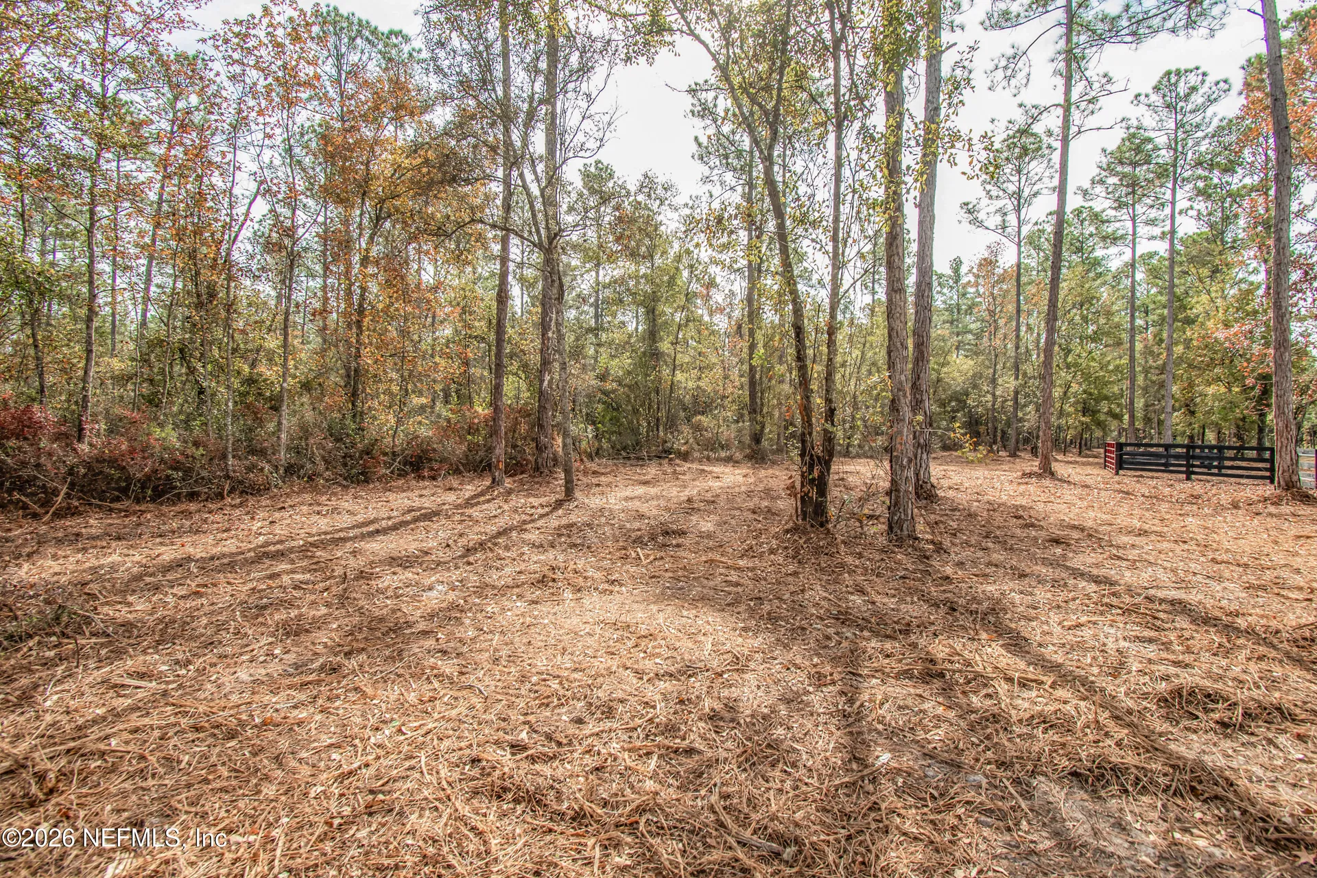 14320 C R 124 Sanderson FL 32087