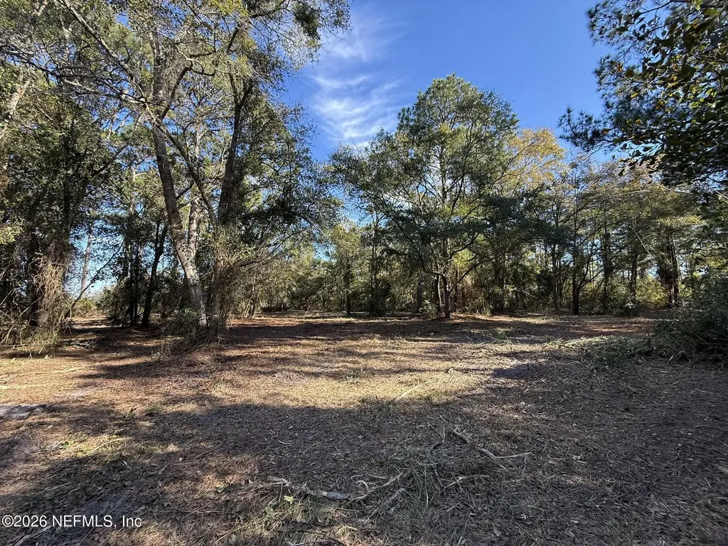 95291 Alligator Creek Road Fernandina Beach FL 32034