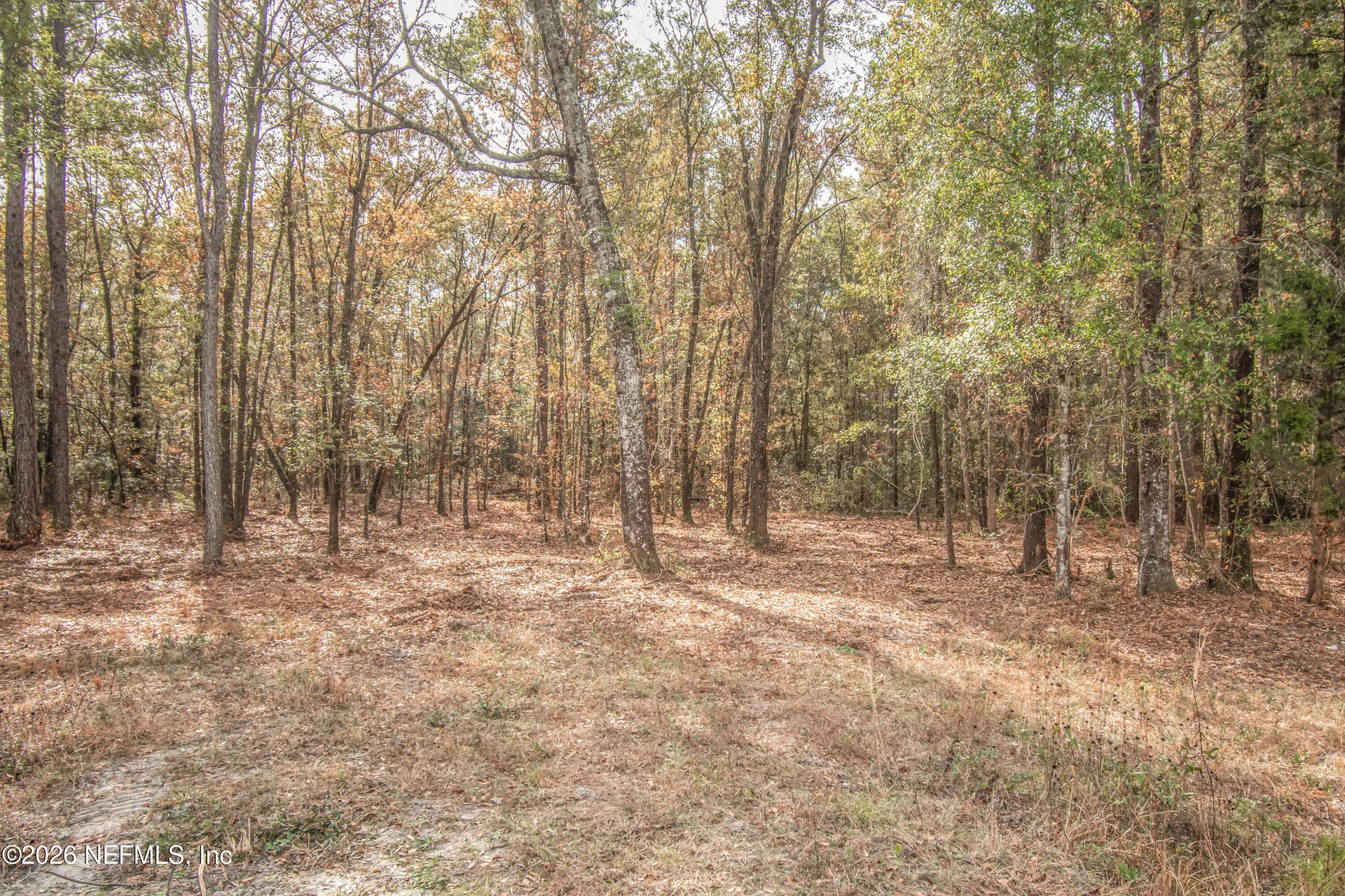 13890 County Road 124 Sanderson FL 32087