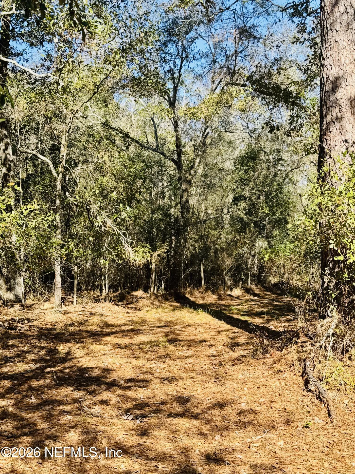 4700 Berry Court Keystone Heights FL 32656