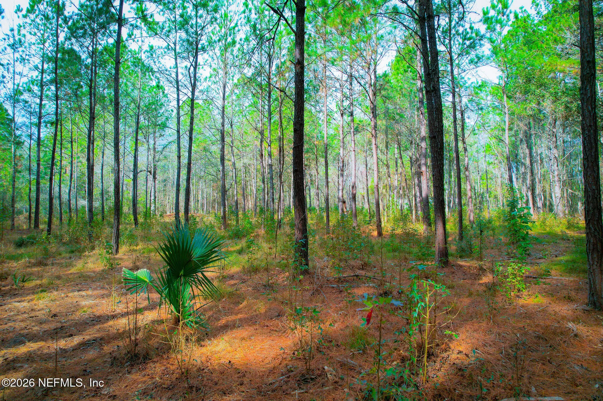 27 Ratliff Road Callahan FL 32011