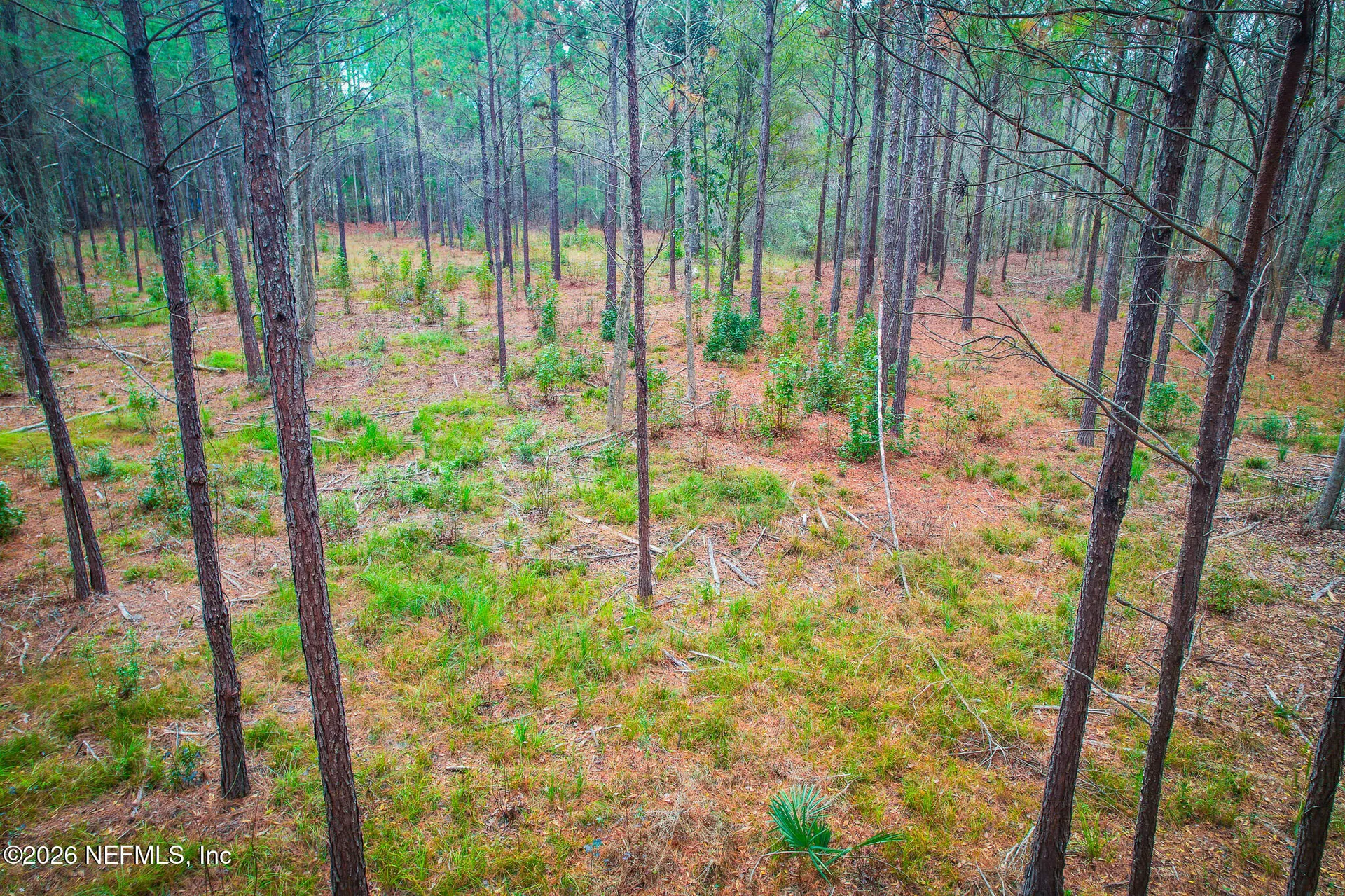 27 Ratliff Road Callahan FL 32011