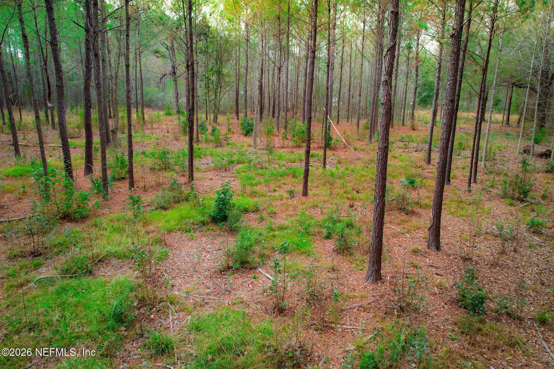 27 Ratliff Road Callahan FL 32011
