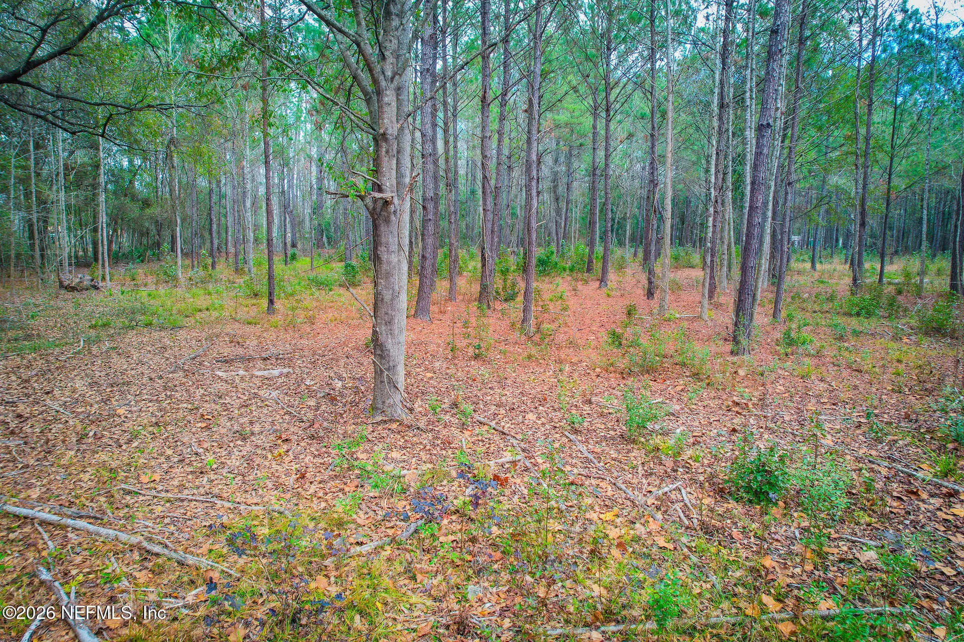 27 Ratliff Road Callahan FL 32011