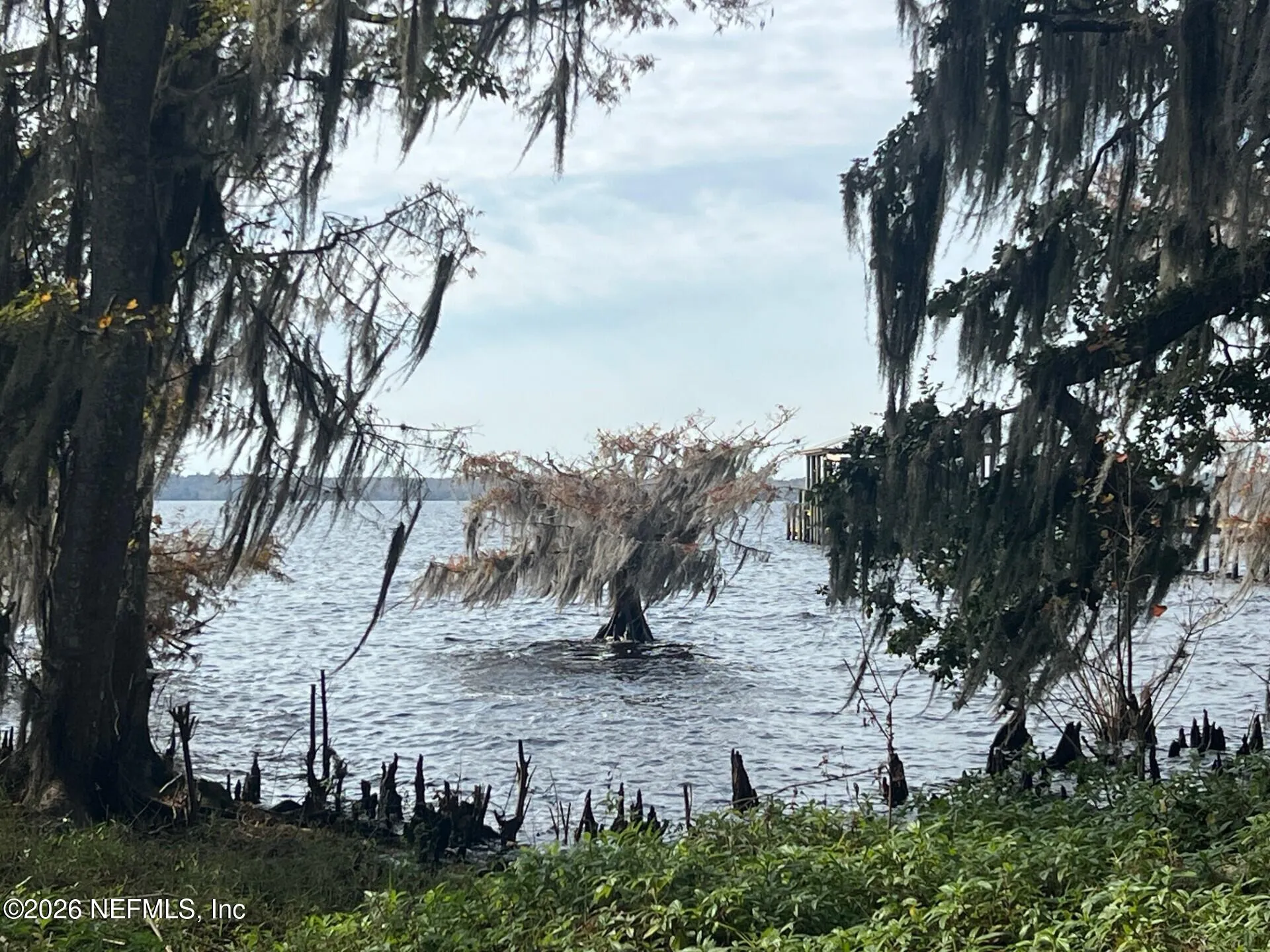 8379 Colee Cove St. Augustine FL 32092