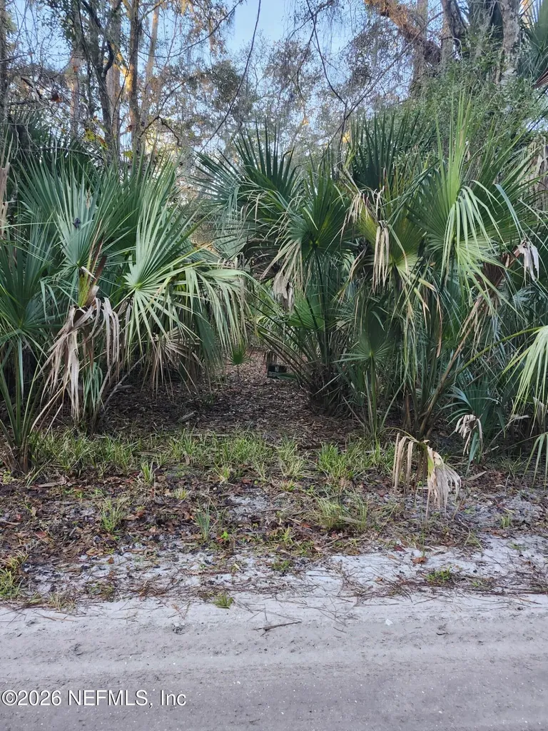00 Drayton Island Crescent City FL 32112