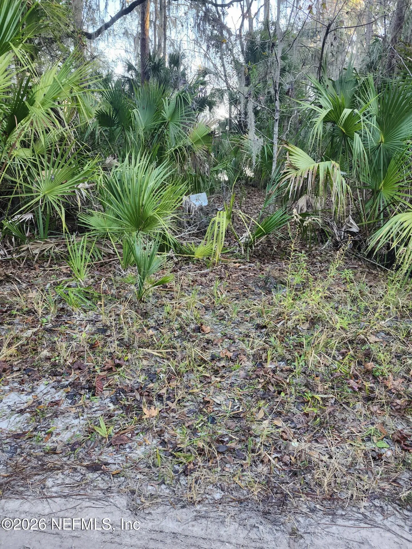00 Drayton Island Crescent City FL 32112