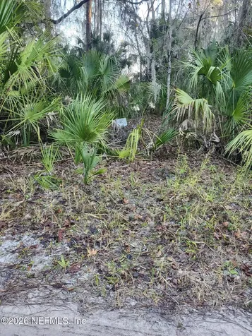 00 Drayton Island Crescent City FL 32112